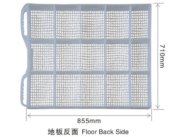 養鴨設備